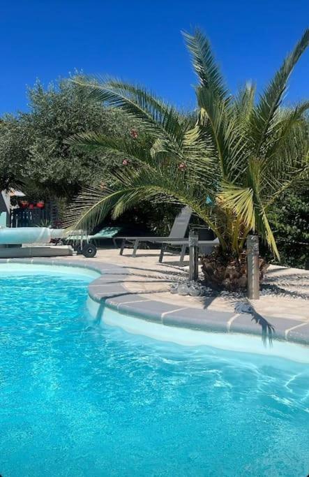 Partie De Avec Piscine En Option Et Supplement Jaccuzi Apartment